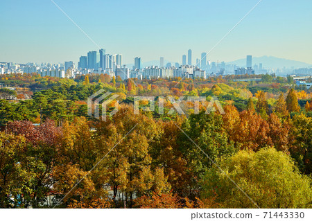 Sangam-dong World Cup Park autumn foliage and scenery Sangam-dong World Cup Park autumn foliage and scenery 71443330