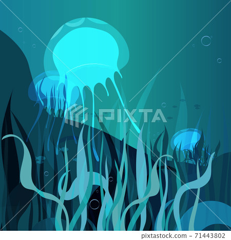 Underwater marine life background for site, social media page, smartphone with jellyfishes. Vector illustration. 71443802