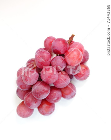 Grape Grape Queen Nina 71443869