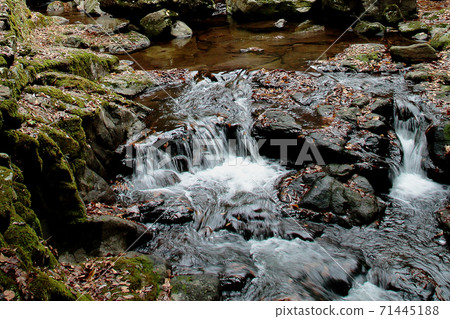 Akame 48 Waterfalls, Mie Prefecture, Autumn Leaves Akame 48 Waterfalls, Mie Prefecture, Autumn Leaves 71445188
