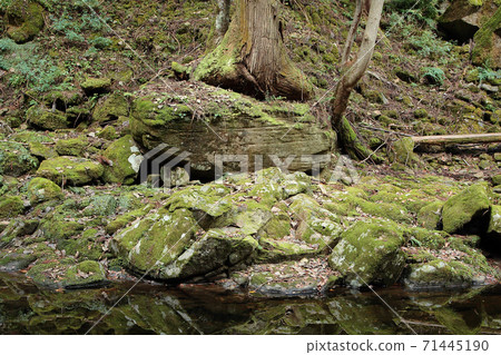 Akame Shijuhachi瀑布三重縣秋葉 Akame Shijuhachi瀑布三重縣秋葉 71445190