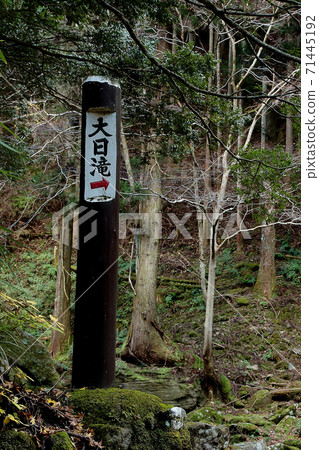 Akame Shijuhachi瀑布三重縣秋葉 71445192