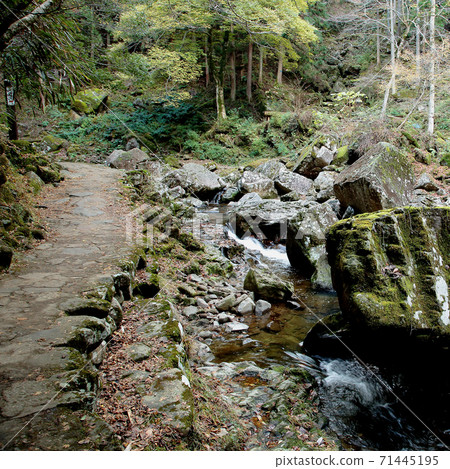 Akame Shijuhachi瀑布三重縣秋葉 71445195