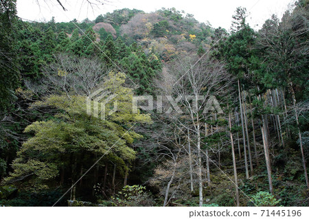 Akame Shijuhachi瀑布三重縣秋葉 Akame Shijuhachi瀑布三重縣秋葉 71445196