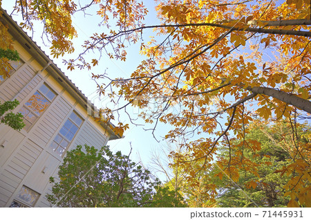 Agatanomori Park (former Matsumoto High School Main Building) Agatanomori Park (former Matsumoto High School Main Building) 71445931