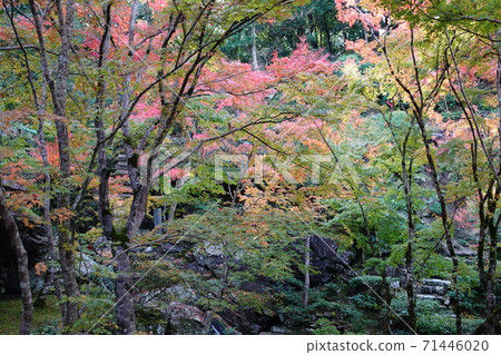 本樂寺秋天 71446020