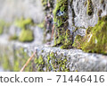 Moss growing on the stone steps 71446416
