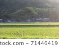 Country landscape and private house 71446419