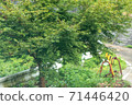 Abandoned old road barricades and guardrails 71446420