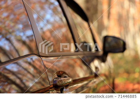 秋天開車,森林車,秋天的樹葉圖像 秋天開車,森林車,秋天的樹葉圖像 71446885