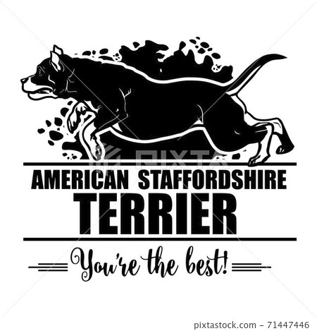 American Staffordshire Terrier in jump - Dog Happy Face Paw Puppy Pup Pet Clip Art K-9 Cop Police Logo SVG PNG Clipart Vector Cricut Cut Cutting American Staffordshire Terrier in jump - Dog Happy Face Paw Puppy Pup Pet Clip Art K-9 Cop Police Logo SVG PNG Clipart Vector Cricut Cut Cutting 71447446