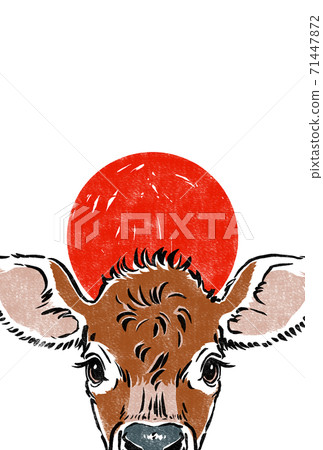 在平紋針織小牛的頭頂上修飾日出 71447872