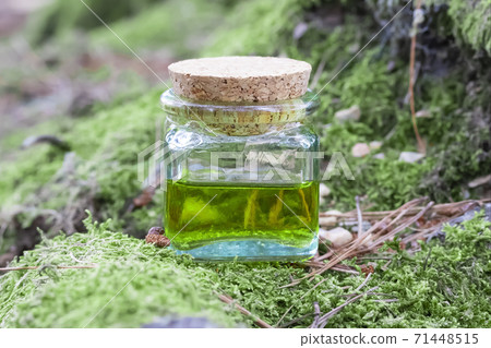A glass jar with a wooden lid half filled with green-yellow nectar oil. Located on the roots of a tree with green moss. The concept of traditional medicine A glass jar with a wooden lid half filled with green-yellow nectar oil. Located on the roots of a tree with green moss. The concept of traditional medicine 71448515