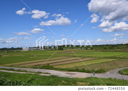 Arakawa riverbed near Akigase intake weir 71448550