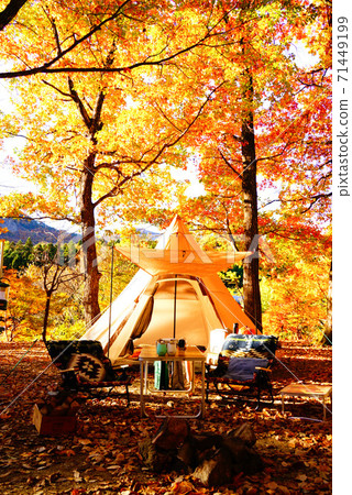 Camp tent autumn leaves Camp tent autumn leaves 71449199