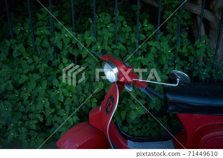 Greenback red vespa Greenback red vespa 71449610