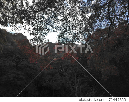 秋天山的看法 71449833