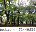 藍楓 71449839