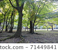 藍楓 71449841