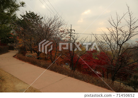Hanyang, Doseong, Sunseong-gil, Seonggwak-gil, Train Rock, Autumn 71450652