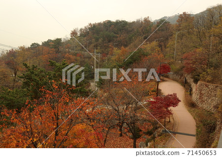 Hanyang, Doseong, Sunseong-gil, Seonggwak-gil, Train Rock, Autumn Hanyang, Doseong, Sunseong-gil, Seonggwak-gil, Train Rock, Autumn 71450653