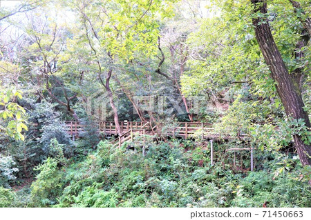 Sakai Nature Fureai no Mori Sakai Nature Fureai no Mori 71450663