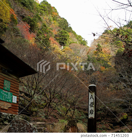 Akame 48 Waterfalls Autumn Leaves 71451203