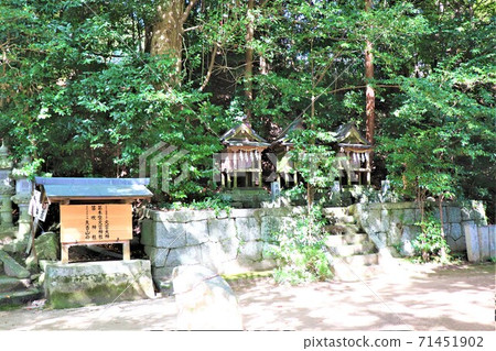 Honoikazuchi Shrine [Fuefuki Shrine] ｜ 71451902