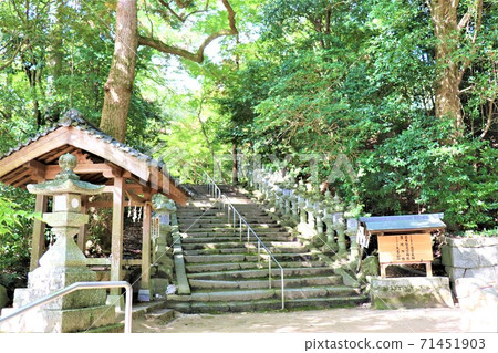 Honoikazuchi Shrine [Fuefuki Shrine] ｜ 71451903