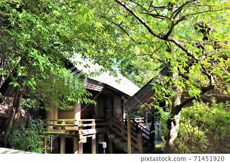葛城座火雷神社[Fuebuki Shrine] ｜ 71451920