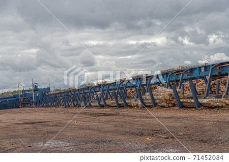Lumber industry. Conveyors of logs in front of cutting machines. The modern cutting line in saw mill. Conveyors on input of cutting line. 71452084