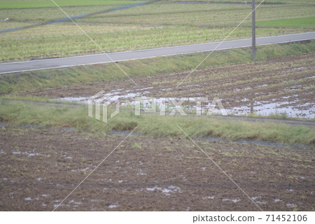 Rainwater accumulated after tilling in the rice fields after harvesting and farm roads 71452106