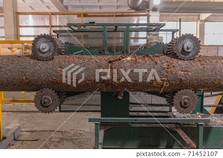 Processing of round timber logs for building wooden house. Removing bark from logs using a machine. Pattern of logs. Woodworking factory. Lumber Industry Processing of round timber logs for building wooden house. Removing bark from logs using a machine. Pattern of logs. Woodworking factory. Lumber Industry 71452107