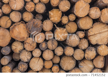 Pattern of wood logs stack. Wood storage for industry. Felled tree trunks. Firewood cut tree trunk logs stacked prepared. Deforestation for Industrial production. Pattern of wood logs stack. Wood storage for industry. Felled tree trunks. Firewood cut tree trunk logs stacked prepared. Deforestation for Industrial production. 71452152
