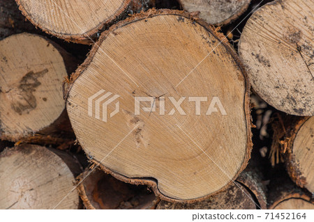 Tree wooden logs. Wood storage for industry. Felled tree trunks. Panorama of firewood cut tree trunk logs stacked prepared. Deforestation for Industrial production. Tree wooden logs. Wood storage for industry. Felled tree trunks. Panorama of firewood cut tree trunk logs stacked prepared. Deforestation for Industrial production. 71452164