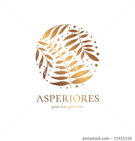 Golden emblem with palm leaves in a circle shape. Golden emblem with palm leaves in a circle shape. 71453156