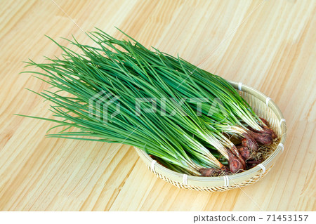 濾鍋,大蔥,細香蔥,大蔥, 濾鍋,大蔥,細香蔥,大蔥, 71453157