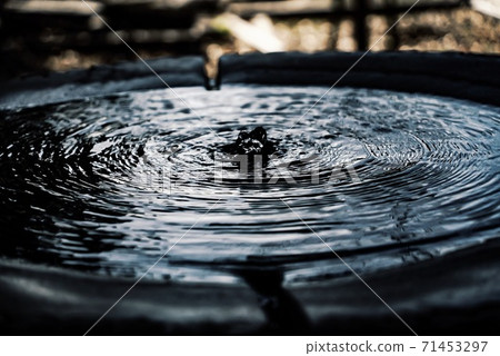 一顆純淨的心一點一點地溢出水。 一顆純淨的心一點一點地溢出水。 71453297
