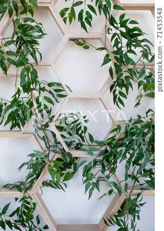 Hexagon shelfs and plant, interior design. 71453548