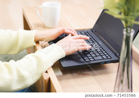 操作筆記本電腦的女人 71453566