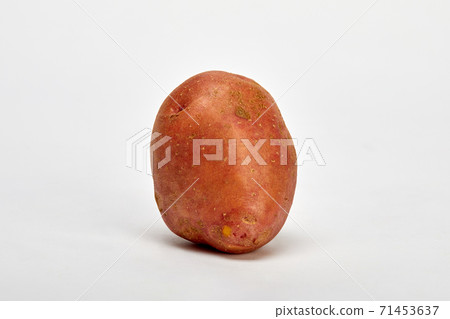 Oral plant, potato 71453637