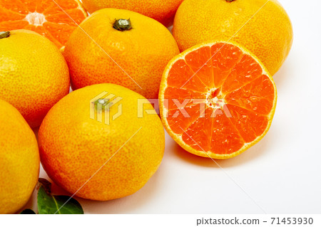 橘子，橘子， 71453930