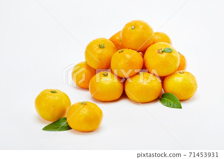 橘子,橘子, 橘子,橘子, 71453931