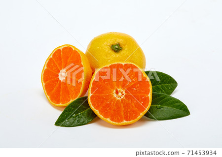 橘子，橘子， 71453934