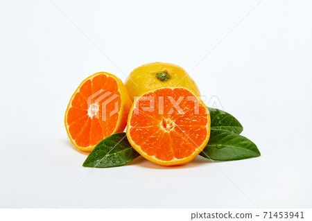 橘子，橘子， 71453941