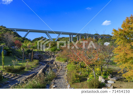 明石海峽公園秋葉和秋花 明石海峽公園秋葉和秋花 71454150