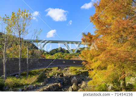 明石海峽公園秋葉和秋花 71454156