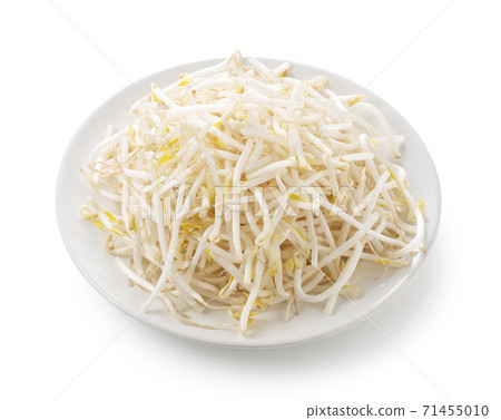 豆芽 豆芽 71455010