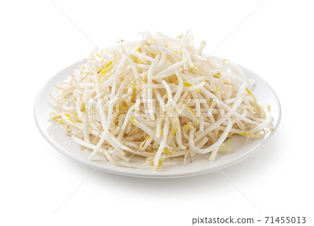 豆芽 豆芽 71455013