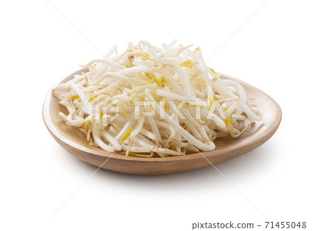 豆芽 71455048